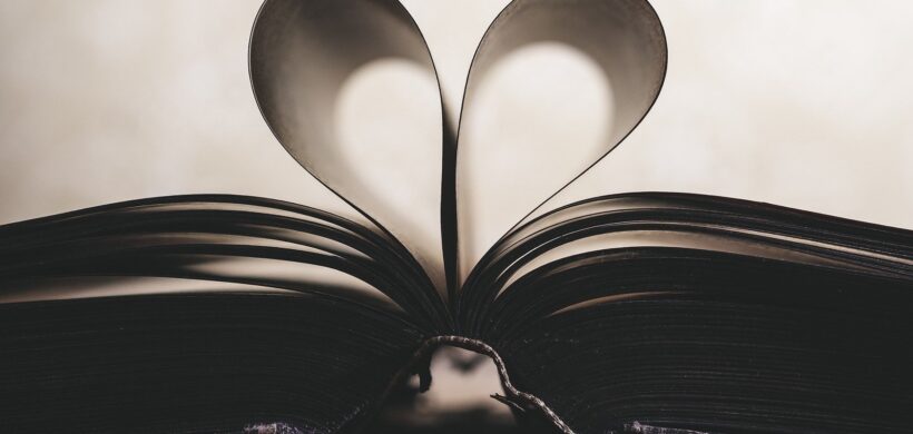 Lee y verás: día del libro